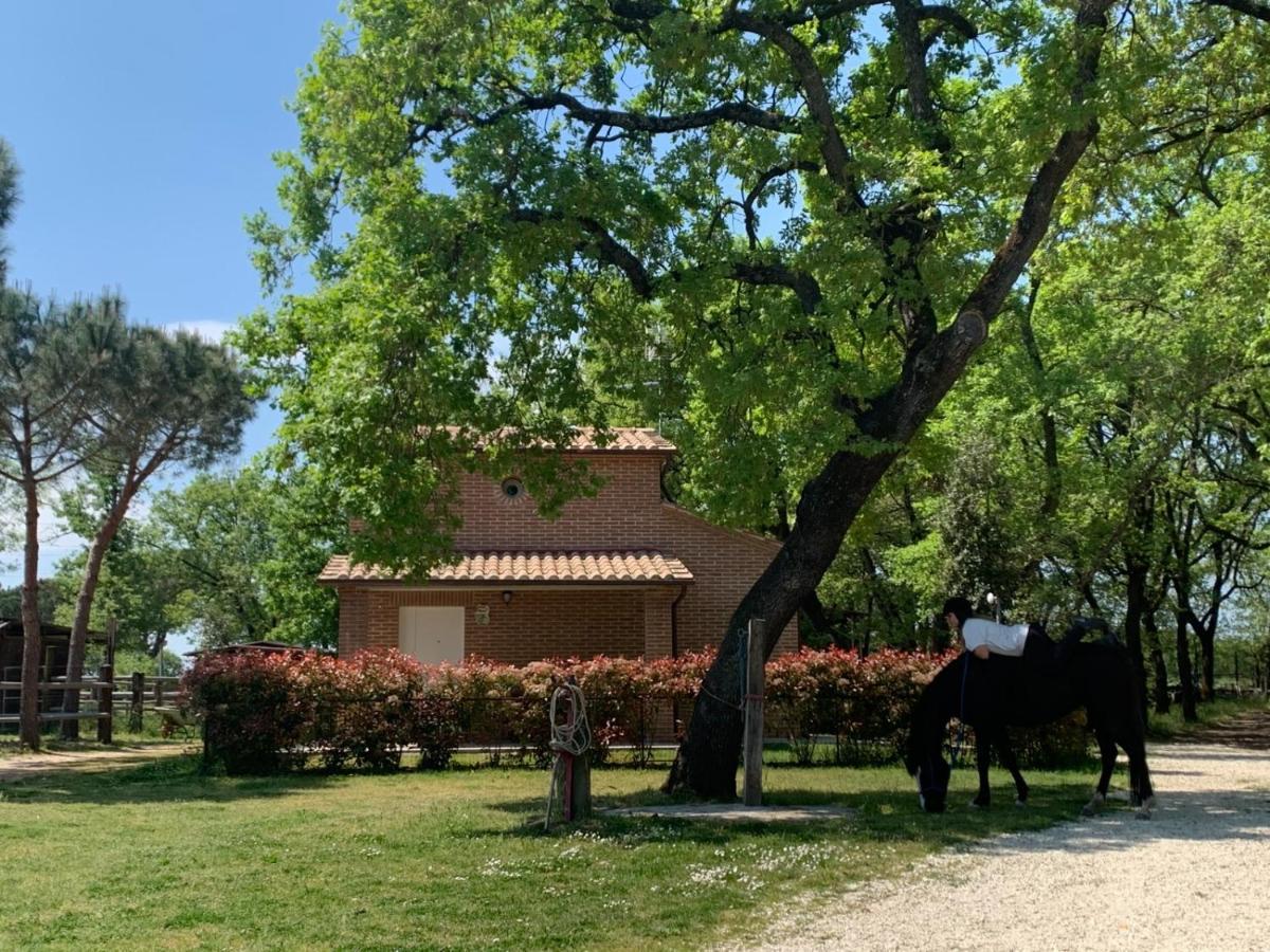 Casina Miriano Casa de Férias Castiglione del Lago